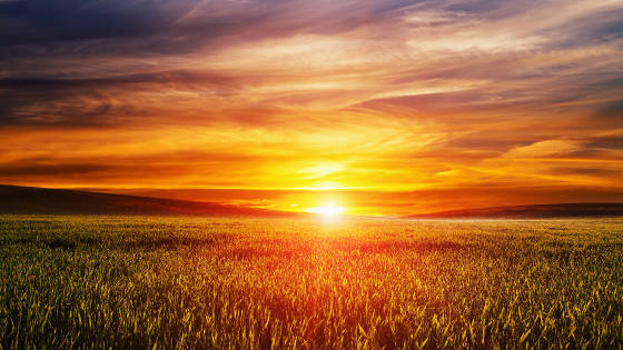 UNILETRAS/Scenery_Sunrises_and_sunsets_Fields_Sky_Sun_519151_2560x1440.jpg