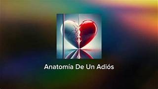UNILETRAS/ANATOMIA.jpg
