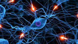 UNILETRAS/neuronas.jpg